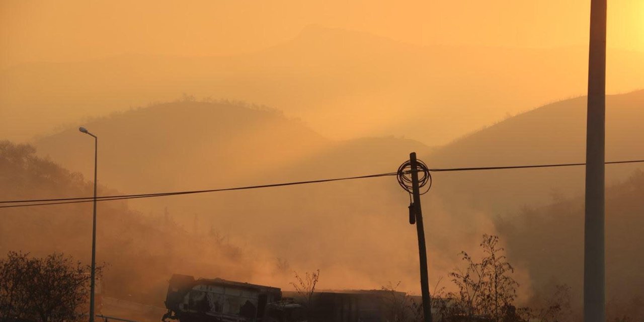 İzmir'de orman yangını sürüyor, havadan müdahale yeniden başladı