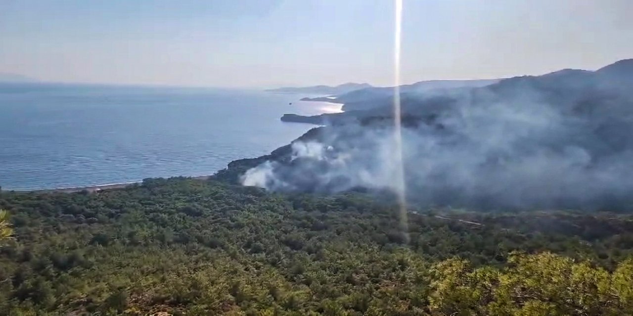 Yerlikaya'dan açıklama: Muğla'daki yangında 3 kişi gözaltına alındı