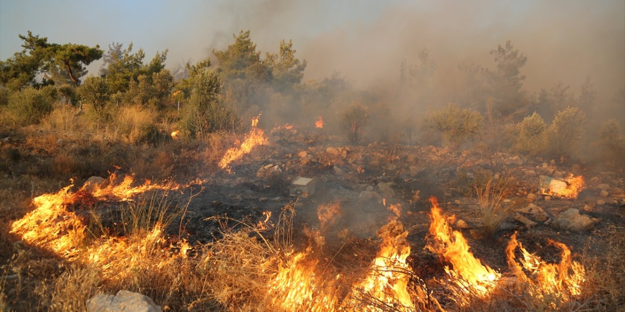 Datça'daki yangınla ilgili 1 kişi tutuklandı, 1 kişi gözaltına alındı