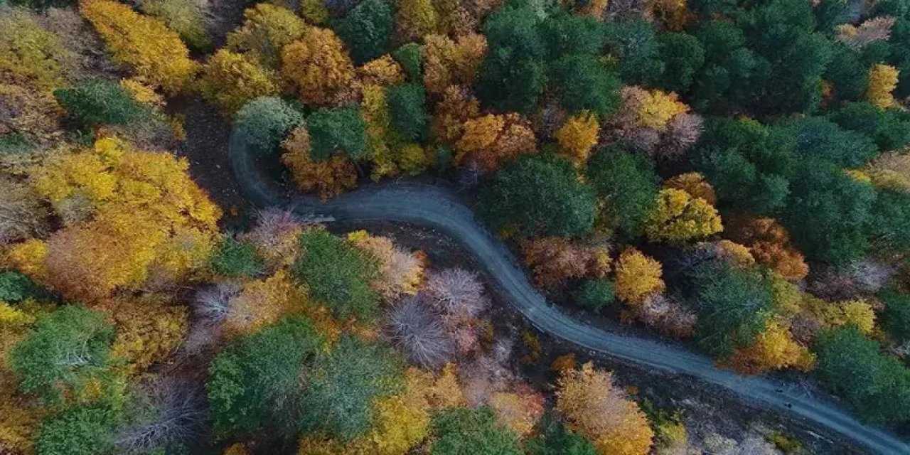 Kazdağları'na girişler yasaklandı