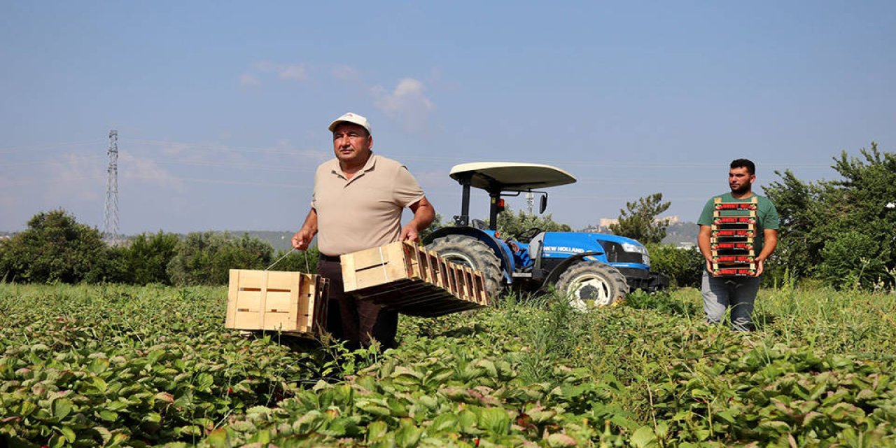 Mazot ve gübre destekleri çiftçilere nakit olarak ödenecek