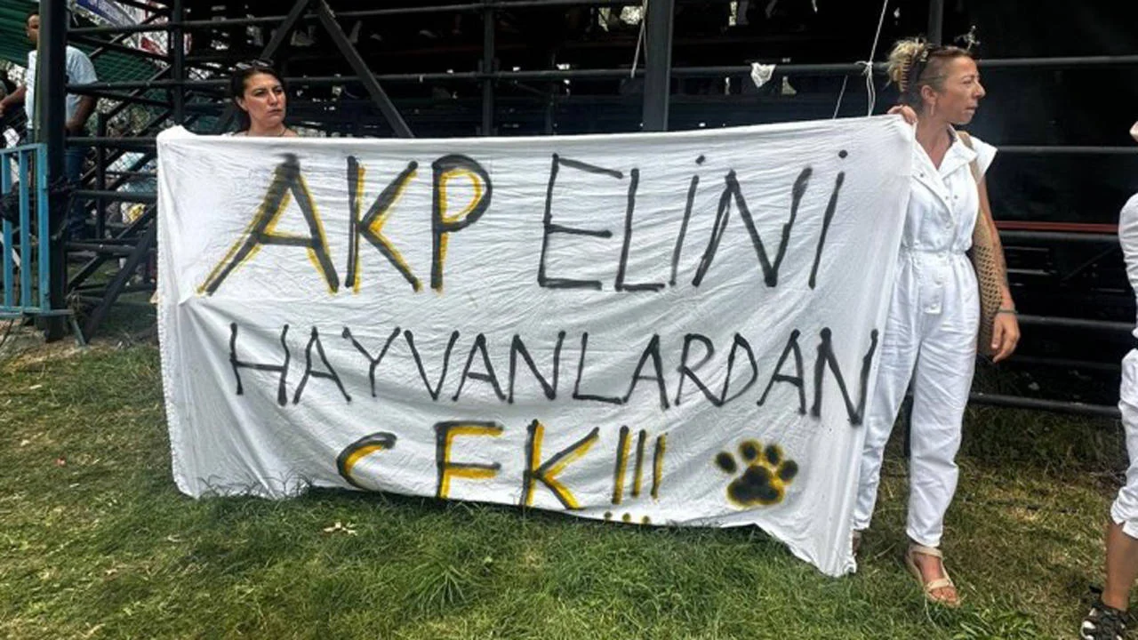 AKP’li vekilden hayvan hakları savunucusuna tehdit