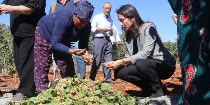 Hatimoğulları: Kayıt dışı ekonomi arıyorsanız Polat ailesine gideceksiniz