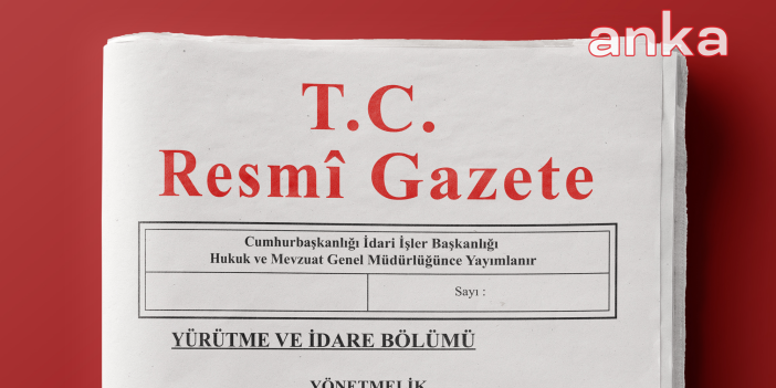 Çerçeve yasa Resmi Gazete'de yayımlandı, süreç kurulun ilk toplantısı 24 Ağustos'ta