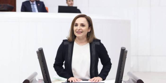 DEM Parti'den İYİ Parti'ye yanıt: Siz 'milli hassasiyet' tacirlerisiniz