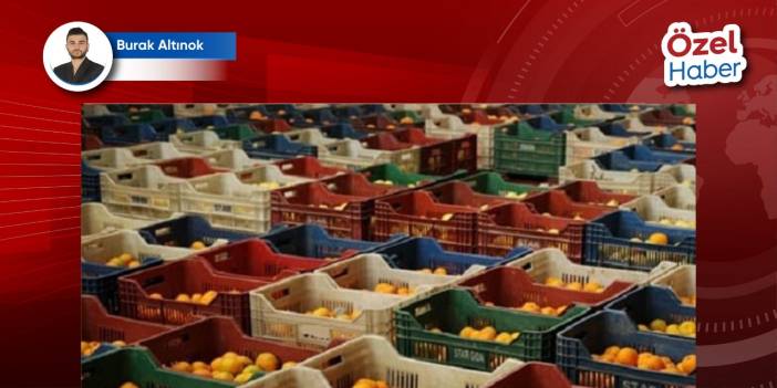 TARIM DOSYASI 2: 2024’te AB’ye ihraç edilen gıdalarda 94 farklı yasaklı maddeye rastlandı