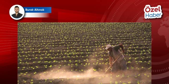 TARIM DOSYASI 4: Çiftçiler ihracat karnesini yorumluyor: İlaçsız tarım mümkün mü?