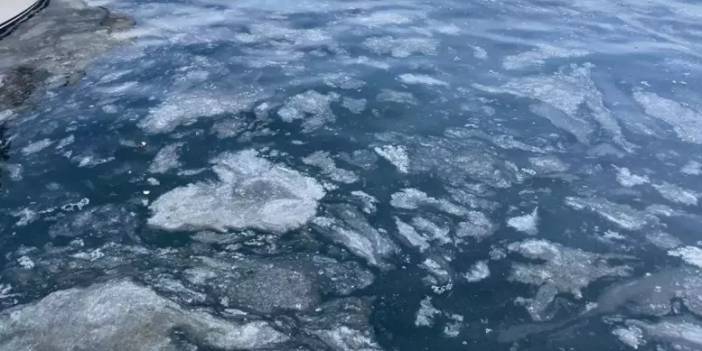 Marmara'da müsilaj yüzünden balıkçılar ağ atamamaya başladı