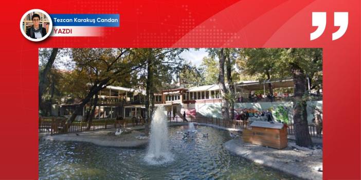 Bellek Mekanlar: Güniz Sokak, Kuğulu Park