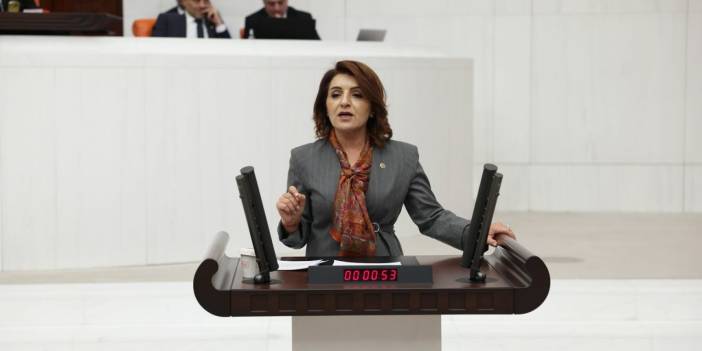 CHP'li Kış'tan Yusuf Tekin'e "müfredat" tepkisi: MEB kendiyle çelişiyor