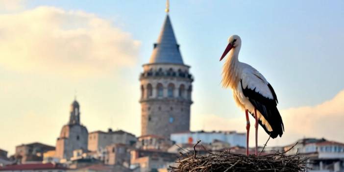 Leylek Yalvaç, Lübnan'da vurularak öldürüldü