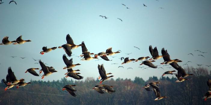 Ayakları Hiç Yere Basmayan 3 Burç! Doğuştan Göçmen Ruhlular ve Taşınmaya Bayılıyorlar!