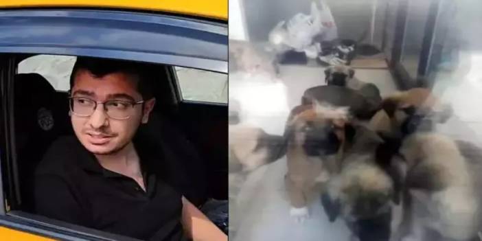 Köpekleri istismar edip öldüren doktora istenen ceza belli oldu