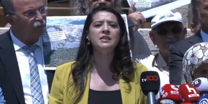 Sevda Karaca zeytinlik yasasındaki imzacıları açıkladı: Madenci AKP'liler