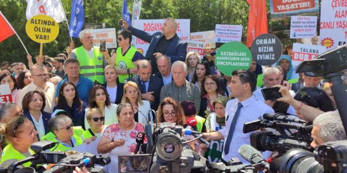 Zeytin yasası görüşmeleri önümüzdeki haftaya ertelendi