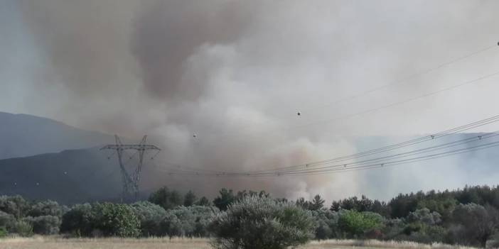 İzmir Bornova’da orman yangını: 455 ev tahliye edildi, 3 kişi gözaltında