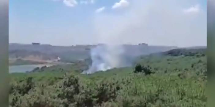 İstanbul'daki orman yangını kontrol altına alındı