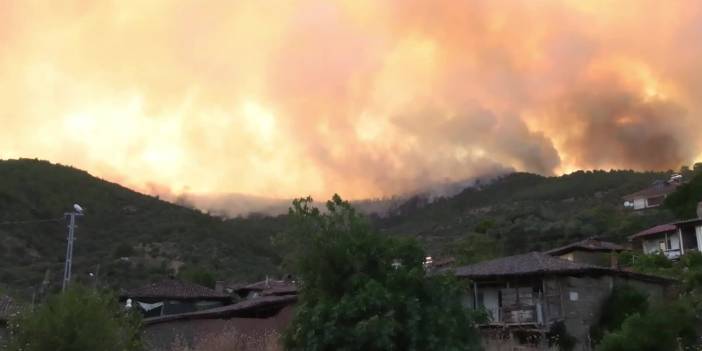 Çeşme ve Ödemiş'teki yangına müdahale sürüyor: 2 kişi yaşamını yitirdi