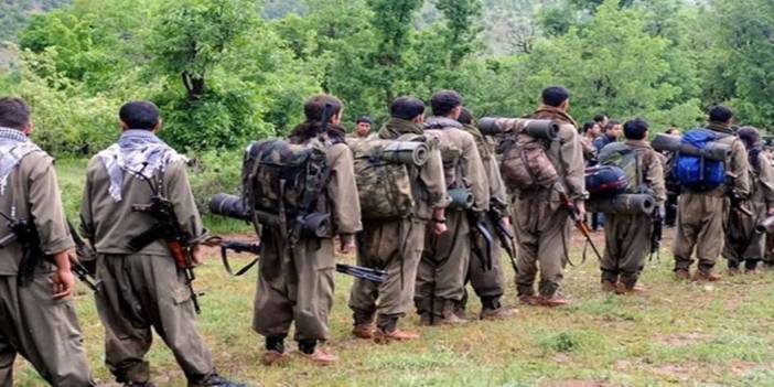 DEM Parti: Bir grup PKK'lı silah bırakacak, 15-20 köşe yazarı izleyecek