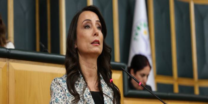 DEM Eş Başkanı Hatimoğulları: Siyasi operasyonlar barış umuduna gölge düşürüyor