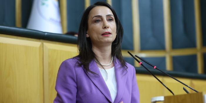 DEM Parti'den Zeydan Karalar'ın tutuklanmasına tepki: 'Demokratik Türkiye umuduna gölge düşer'