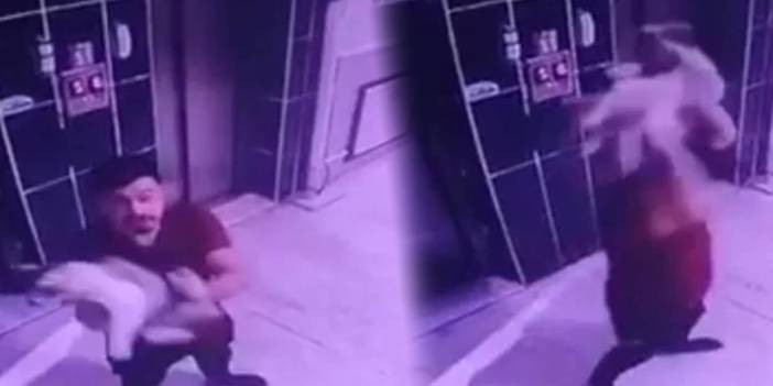 Apartmanda bakılan hamile kediye yere fırlattı: Saldırgan gözaltında