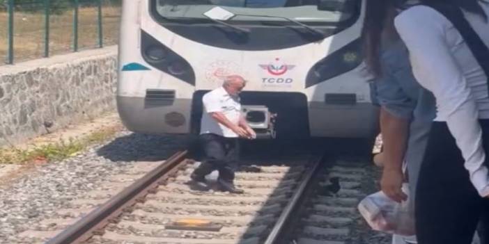 Raylara düşen kediyi kurtaran makiniste alkış