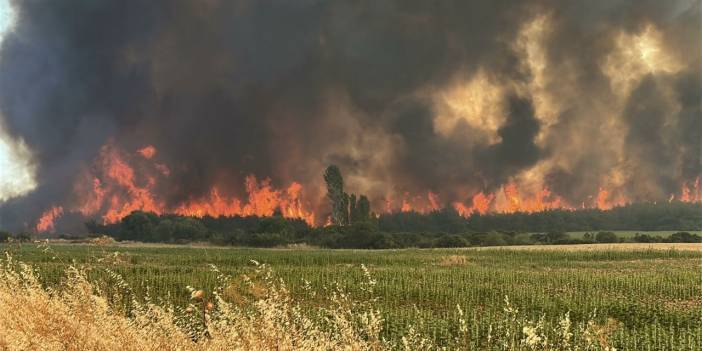 Tekirdağ'daki orman yangınında 2. gün: Çanakkale-Malkara otoyolu kapatıldı