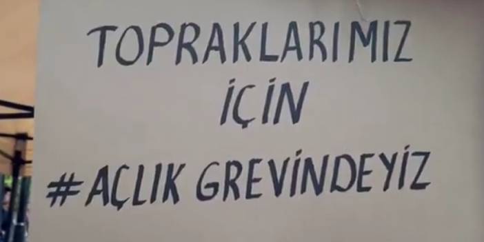 Köylüler zeytinlikleri için açlık grevinde
