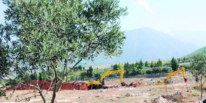 Zeytinlikler artık şirketlerin: Süper izin yasası Meclis'te kabul edildi