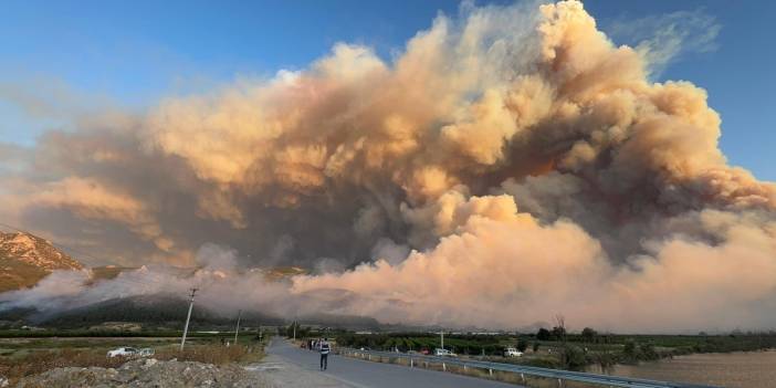Sakarya'da orman yangını: Taşoluk Köyü alevler içinde kaldı