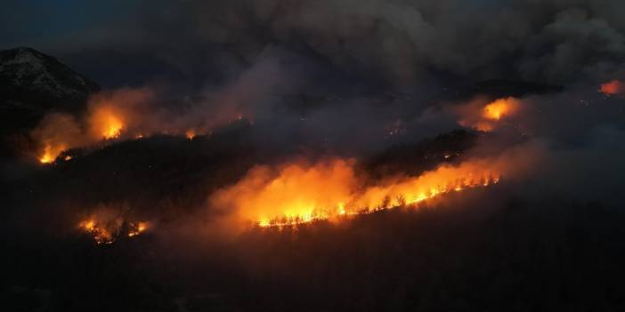 Sakarya'daki orman yangını, Bilecik'e ulaştı: 4 köy boşaltıldı