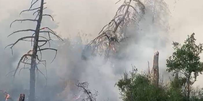 Bursa'da yangının etkisi gün ağarınca ortaya çıktı