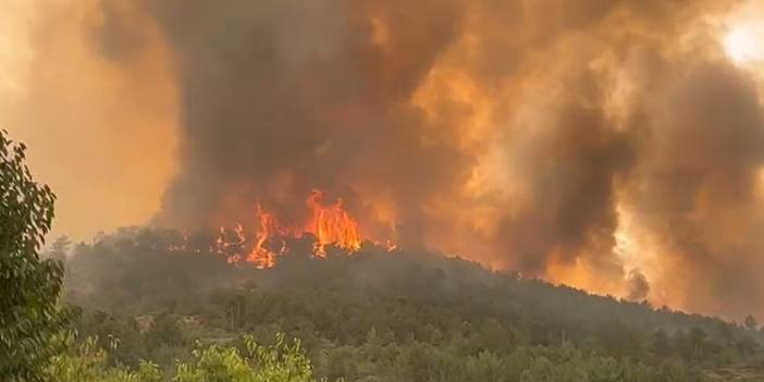 2025'te yangınla mücadeleye ayrılan pay yarı yarıya düşürüldü