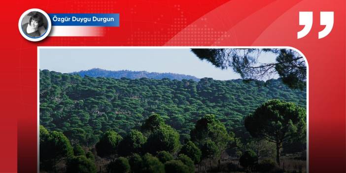 Kozak yaylasında maden kuşatması: 'İnsanlarımız kanser oluyor'