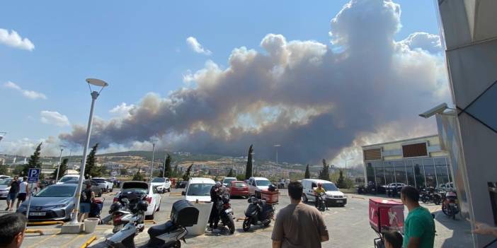 Çanakkale'de orman yangını: Havadan ve karadan müdahale sürüyor, bir itfaiye aracı yandı