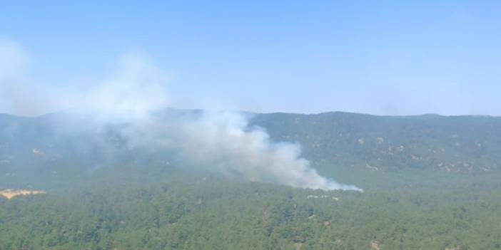 Mersin'de orman yangını