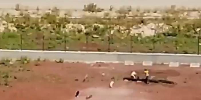 Kars Belediyesi'ne ait barınakta köpeklere sopalı işkence