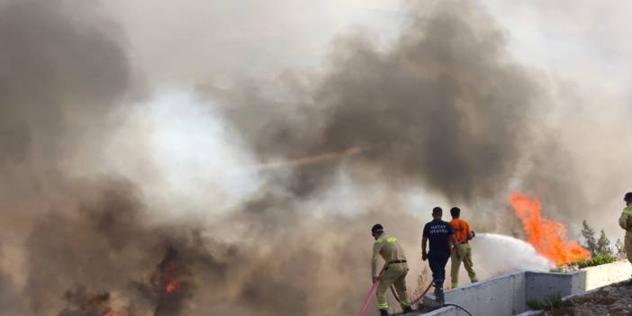 Hatay'da orman yangını çıktı