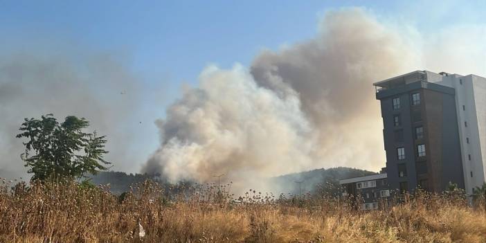 İzmir’de minibüste çıkan yangın ormana sıçradı