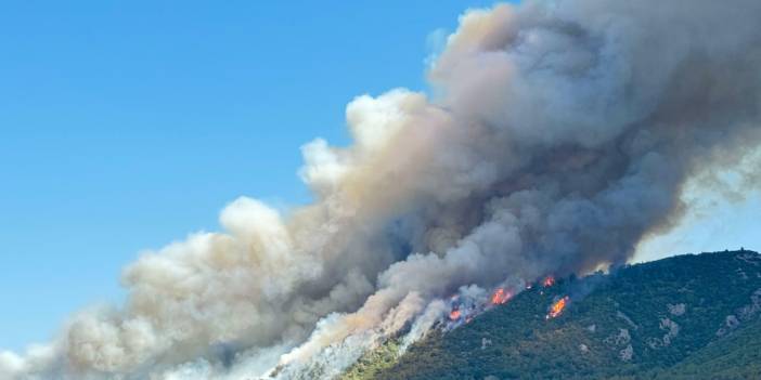 Soma'daki orman yangını kontrol altına alındı