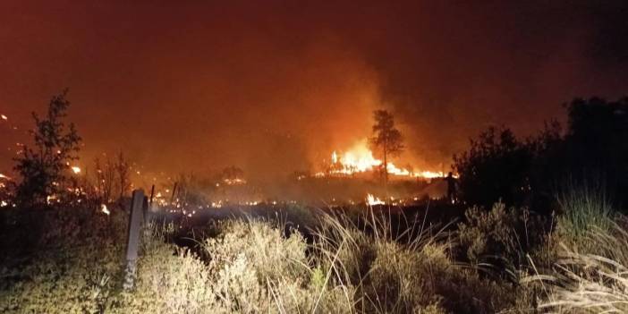 Antalya'da orman yangını 5 saatte kontrol altına alındı