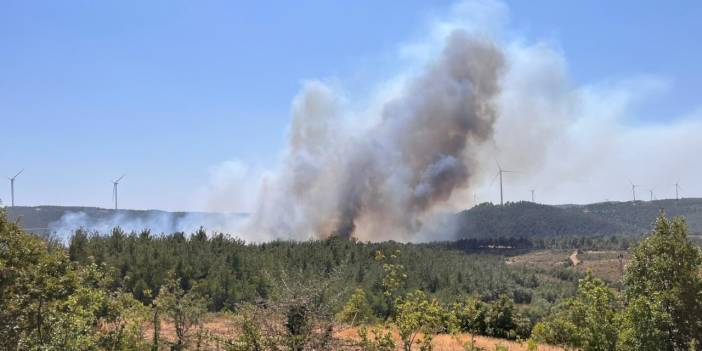 Çanakkale'de yangın yeniden: Alevler köylere ilerliyor