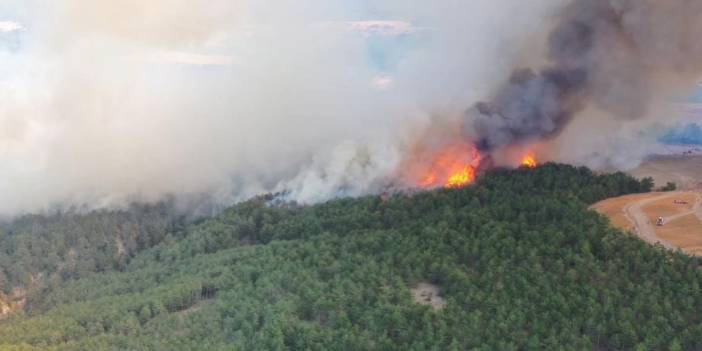 Mudurnu’daki orman yangınına ilişkin 1 kişi tutuklandı