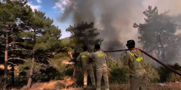 Mersin'deki orman yangını ikinci gününde