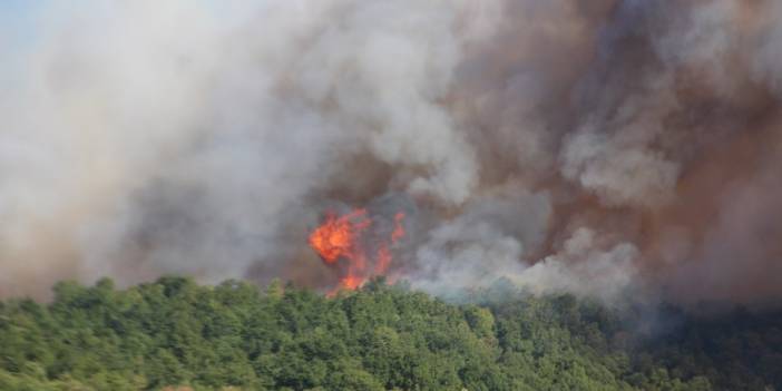 Kocaeli'ndeki orman yangını yerleşim yerlerine sıçradı