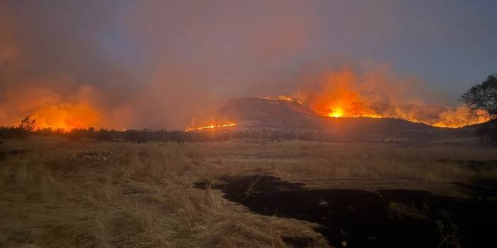 Diyarbakır'da yangın: 3 ilçeyi kapsadı, tüm itfaiye personeli göreve çağrıldı