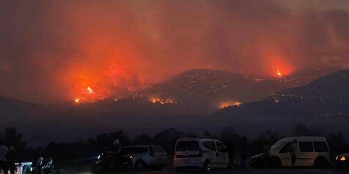 Çanakkale'de orman yangını 2'nci gününde
