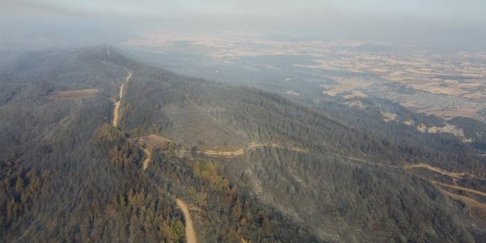 Çanakkale yangınında zarar gören orman alanları havadan görüntülendi