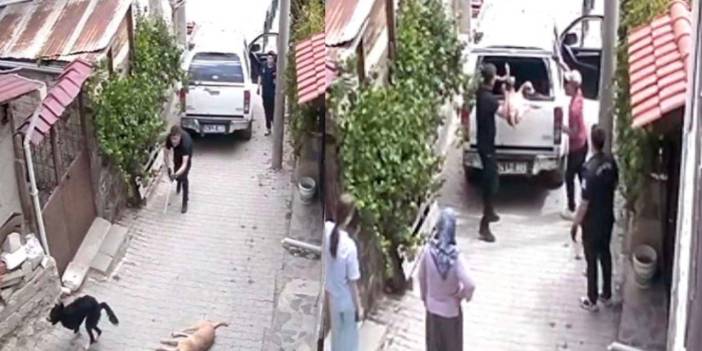 Köpeklere işkenceli toplama